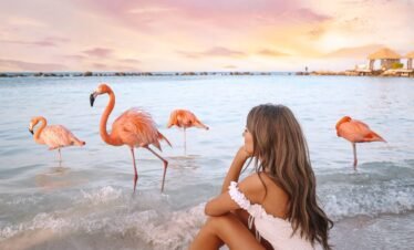 ARUBA | 8 NOCHES | LATAM